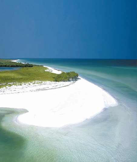 Duneidn Fl World Class Beaches