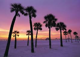 clearwater